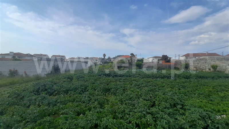 Terreno para Construção  Esposende, Antas - 1330044 - 3