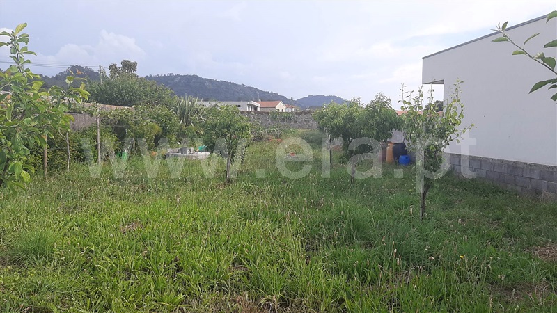 Terreno para Construção  Esposende, Antas - 1330044 - 4