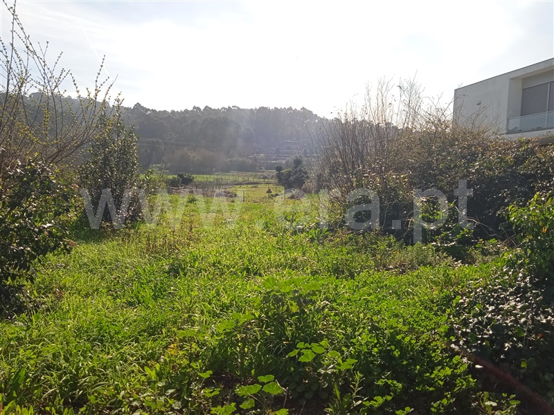 Terreno para Construção / Esposende, Antas