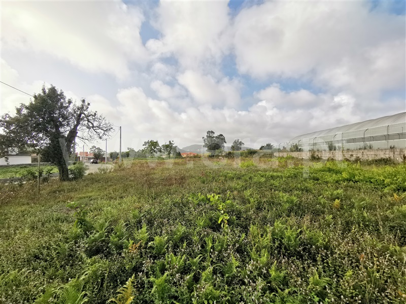 Terreno para Construção  Esposende, Antas - 1504144 - 2
