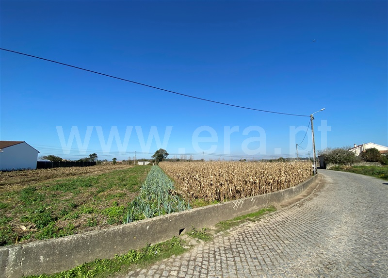 Terreno para Construção / Esposende, Apúlia
