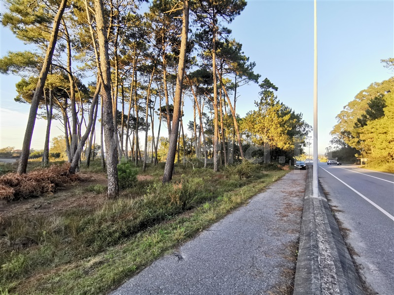 Terreno para Construção / Esposende, Apúlia