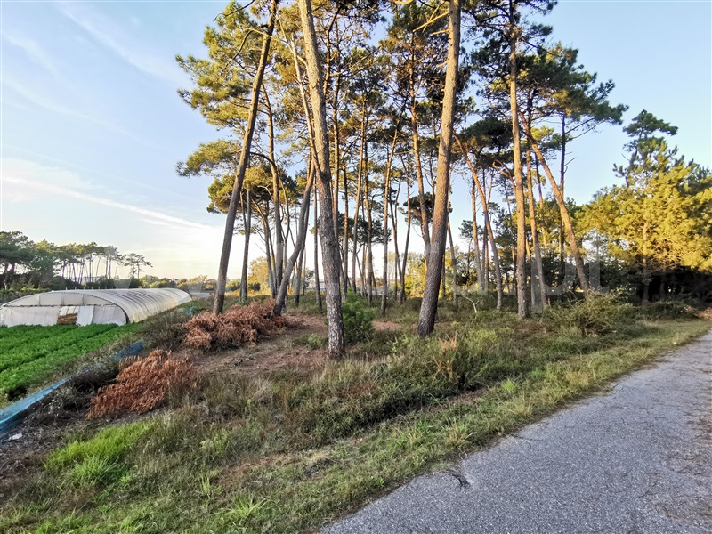 Terreno para Construção  Esposende, Apúlia - 1280374 - 5