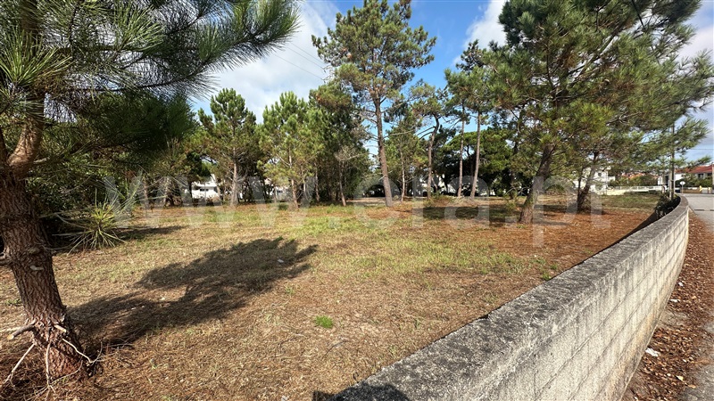 Terreno para Construção  Esposende, Fão - 1501036 - 8