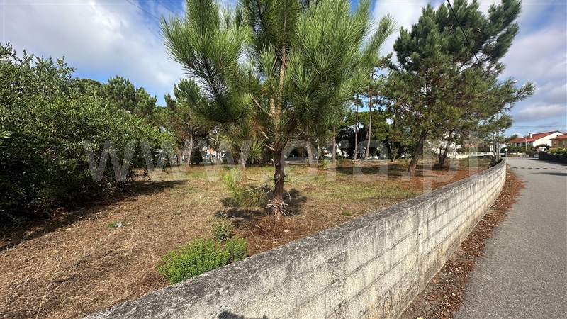 Terreno para Construção  Esposende, Fão - 1501036 - 9