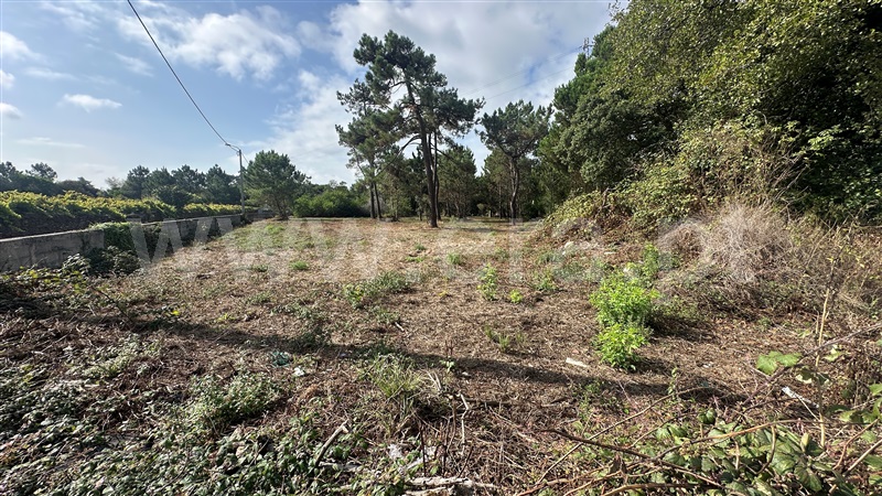Terreno para Construção  Esposende, Fão - 1501036 - 11
