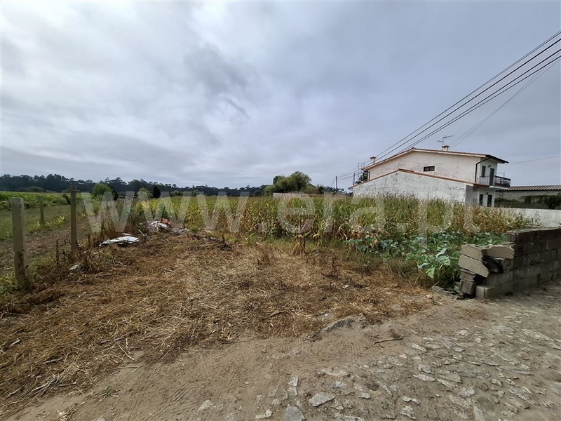 Terreno para Construção  Esposende, Fonte Boa - 1427553 - 2