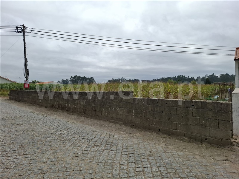 Terreno para Construção  Esposende, Fonte Boa - 1427553 - 3
