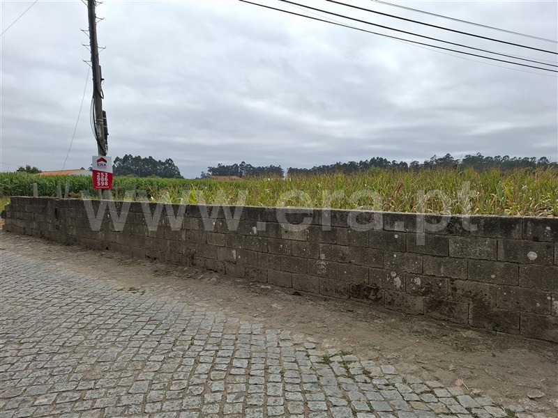 Terreno para Construção / Esposende, Fonte Boa e Rio Tinto