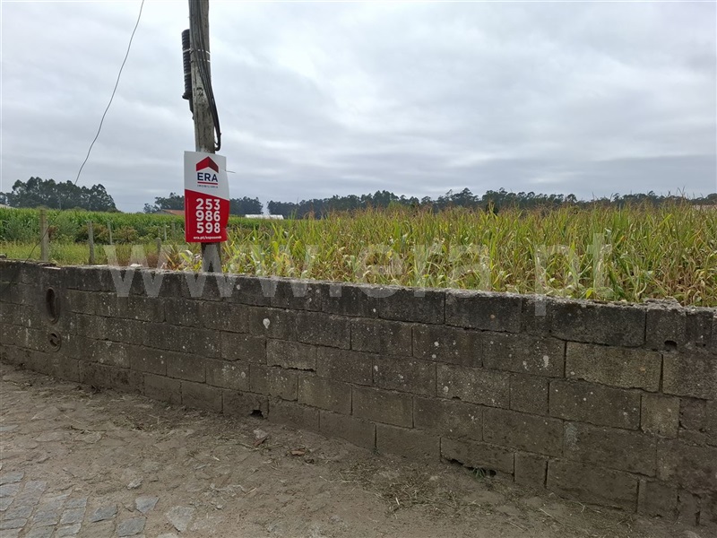 Terreno para Construção  Esposende, Fonte Boa - 1427553 - 5