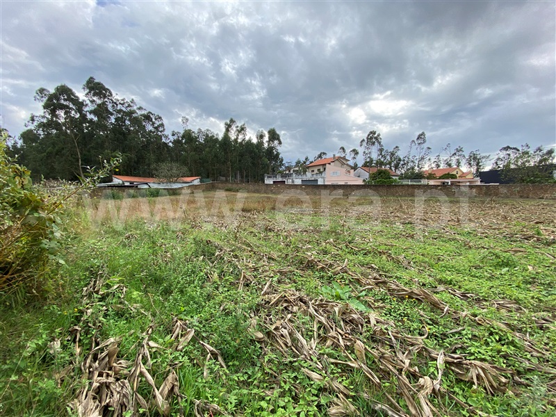 Terreno para Construção  Esposende, Fonte Boa - 1116290 - 4