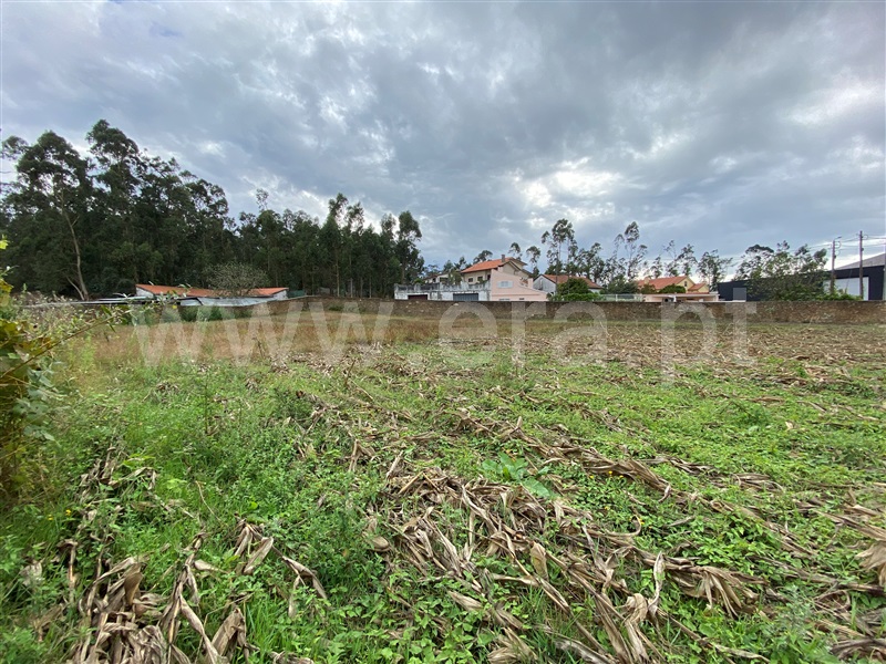 Terreno para Construção  Esposende, Fonte Boa - 1116290 - 5