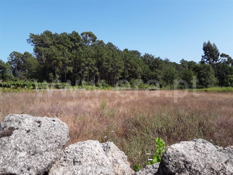 Terreno para Construção  Esposende, Forjães - 1265818 - 1