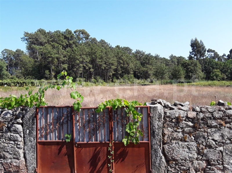 Terreno para Construção  Esposende, Forjães - 1265818 - 2