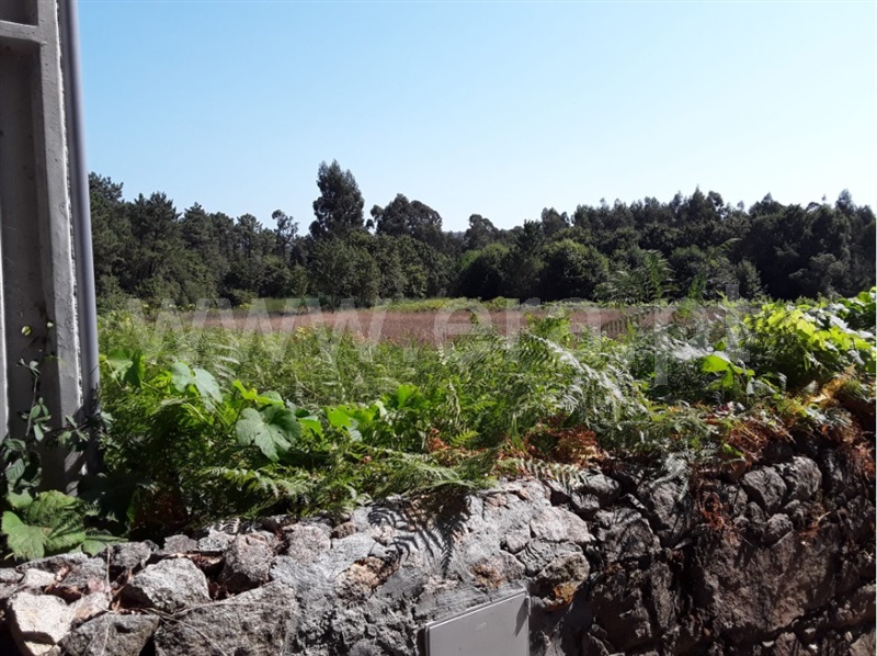 Terreno para Construção  Esposende, Forjães - 1265818 - 3
