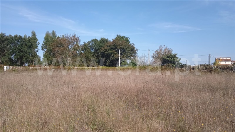 Terreno para Construção / Esposende, Forjães