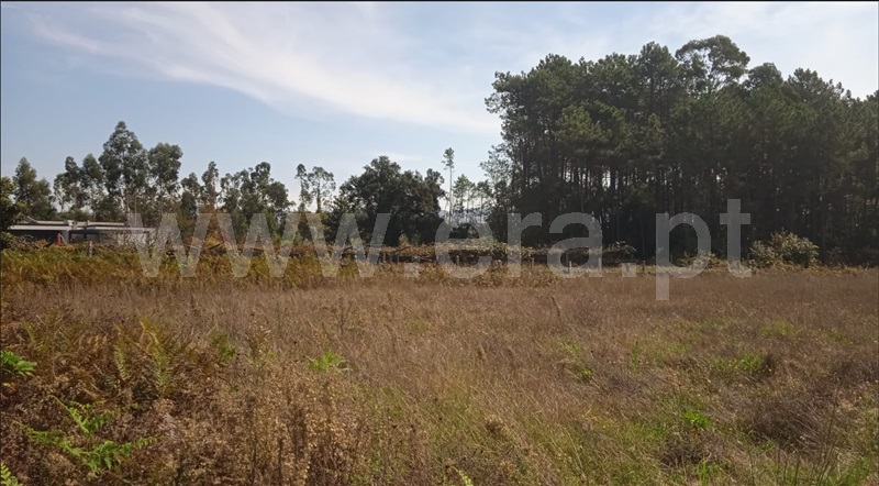 Terreno para Construção  Esposende, Forjães - 1358936 - 3