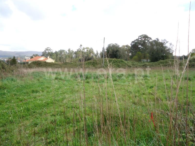 Terreno para Construção / Esposende, Forjães