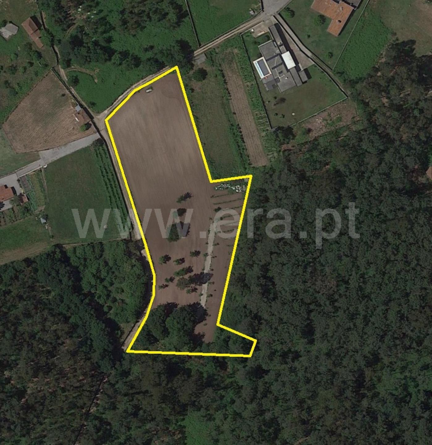 Land for sale in Esposende, Portugal — €234,000
