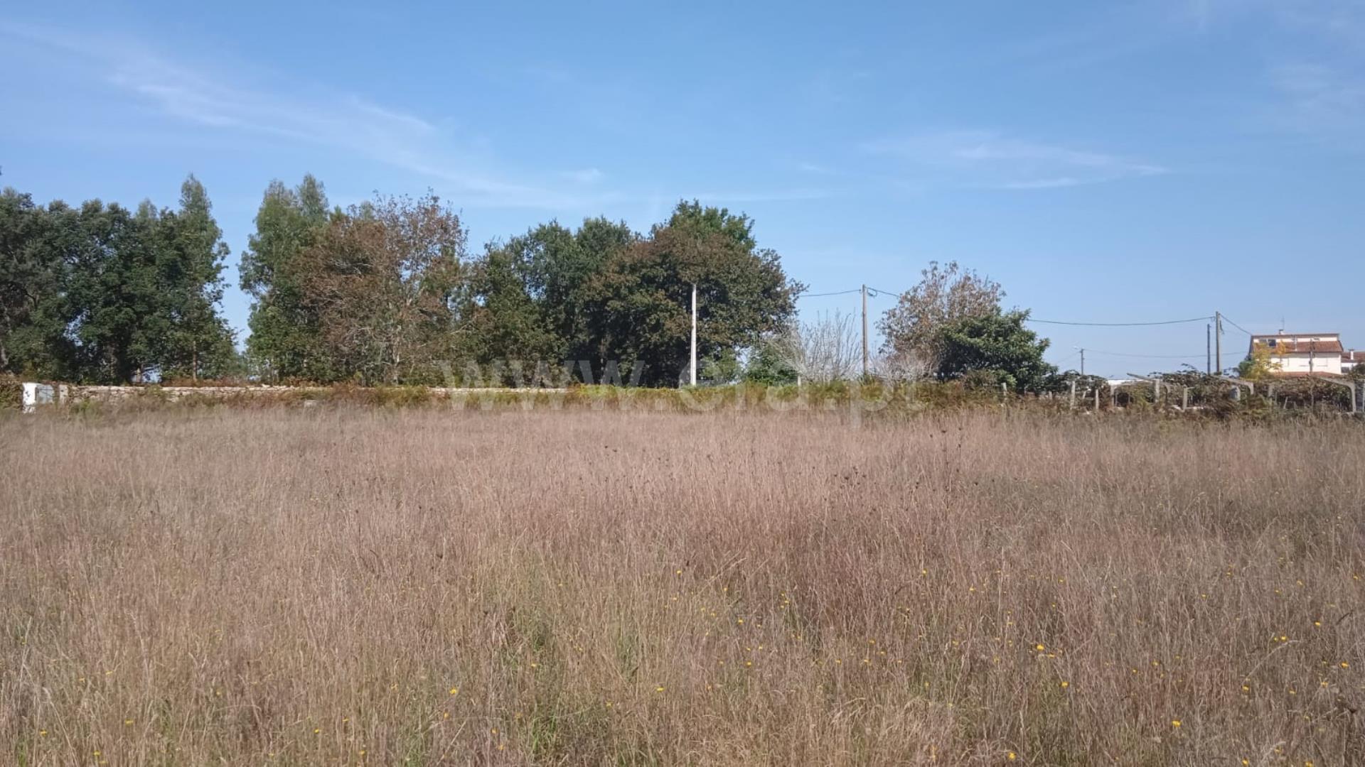 Land for sale in Esposende, Portugal — €115,000