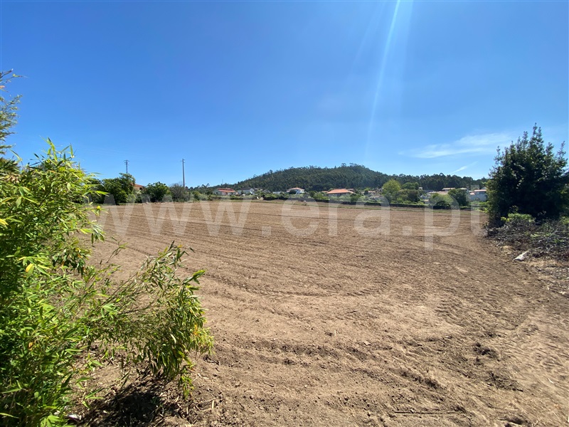 Terreno para Construção / Esposende, Gemeses