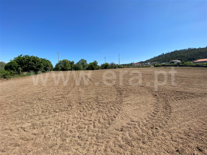 Terreno para Construção  Esposende, Gemeses - 1247554 - 6