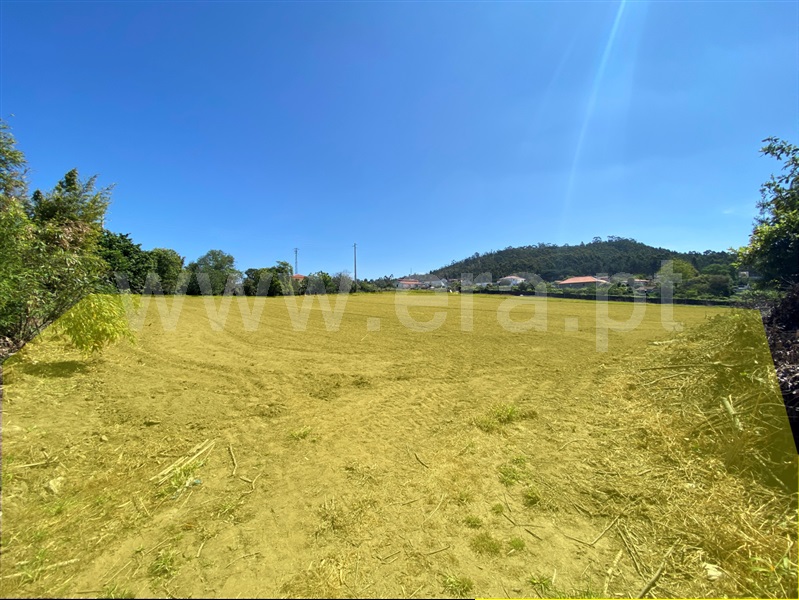 Terreno para Construção  Esposende, Gemeses - 1247554 - 8