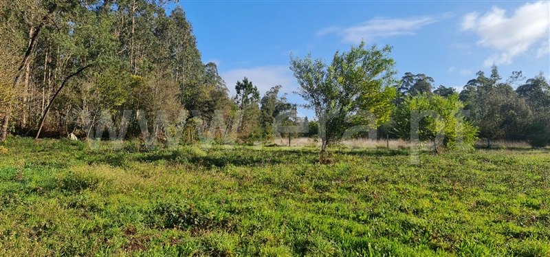 Terreno  Esposende, Gemeses - 1454774 - 24