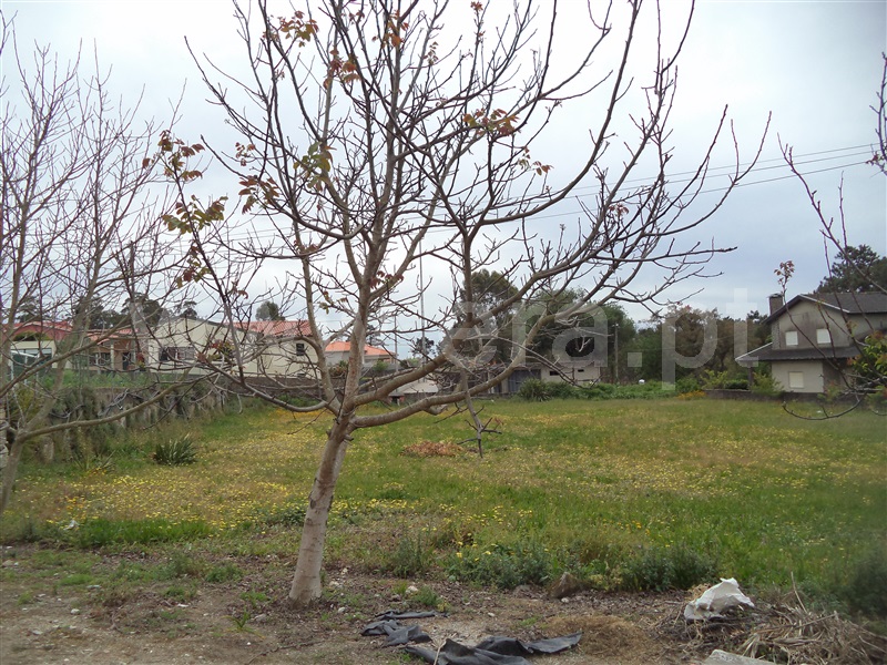 Terreno para Construção  Esposende, Mar - 1163730 - 3