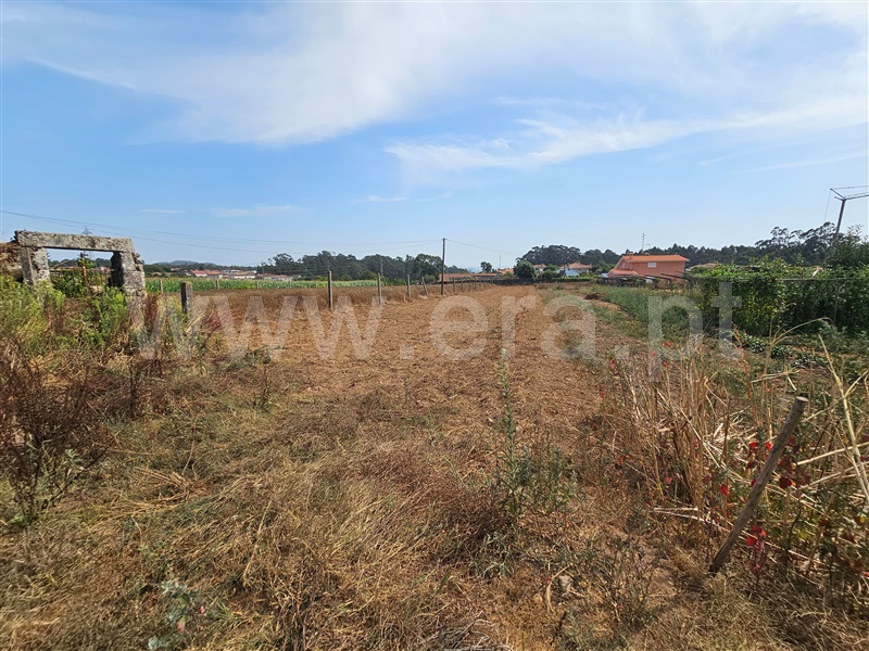 Terreno para Construção / Esposende, Palmeira de Faro e Curvos