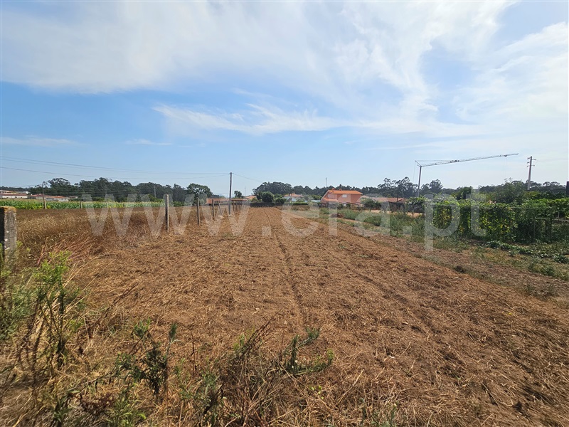 Terreno para Construção  Esposende, Palmeira de Faro - 1503170 - 2