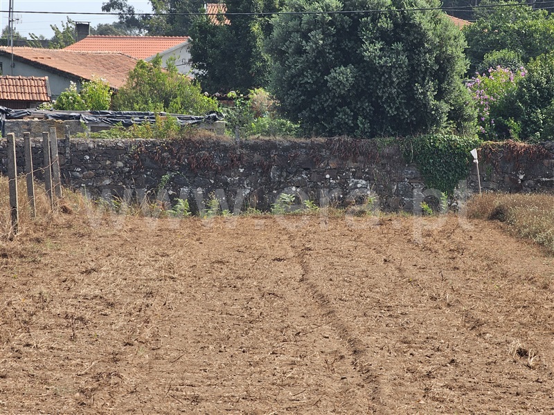 Terreno para Construção  Esposende, Palmeira de Faro - 1503170 - 3