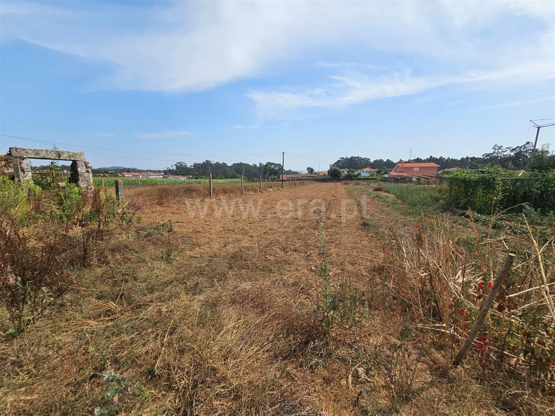 Land for sale in Esposende, Portugal — €119,000