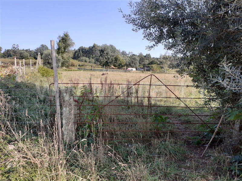 Terreno para Construção  Esposende, Vila Chã - 1125463 - 3