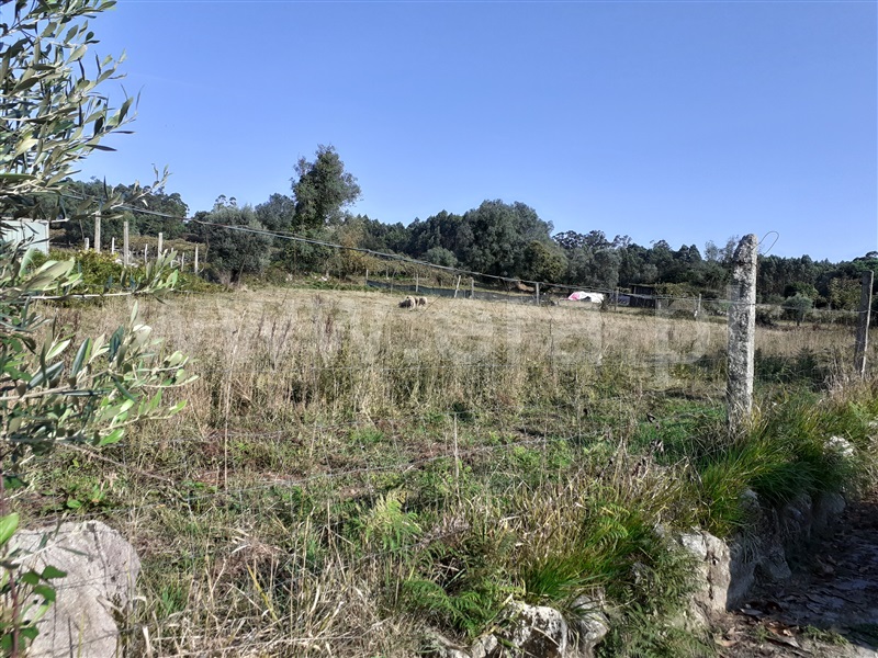 Terreno para Construção  Esposende, Vila Chã - 1125463 - 2