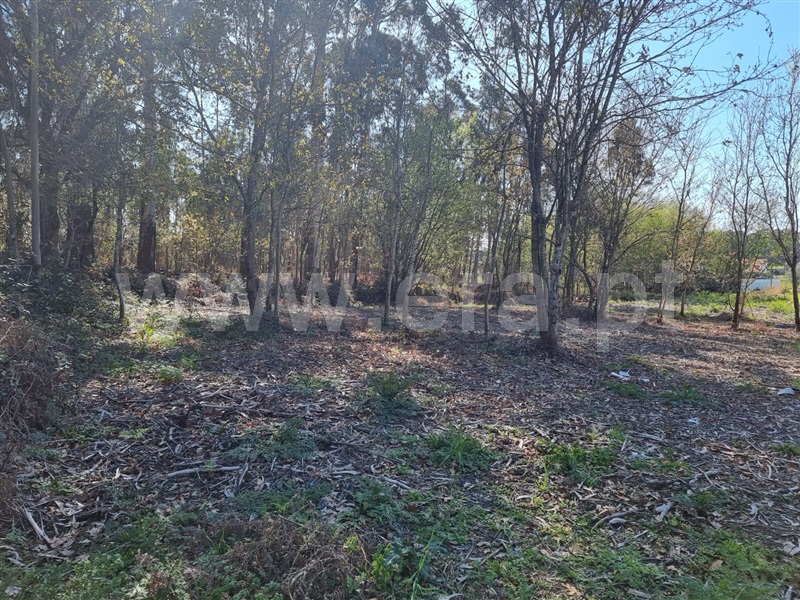 Terreno para Construção  Esposende, Vila Chã - 1472298 - 3