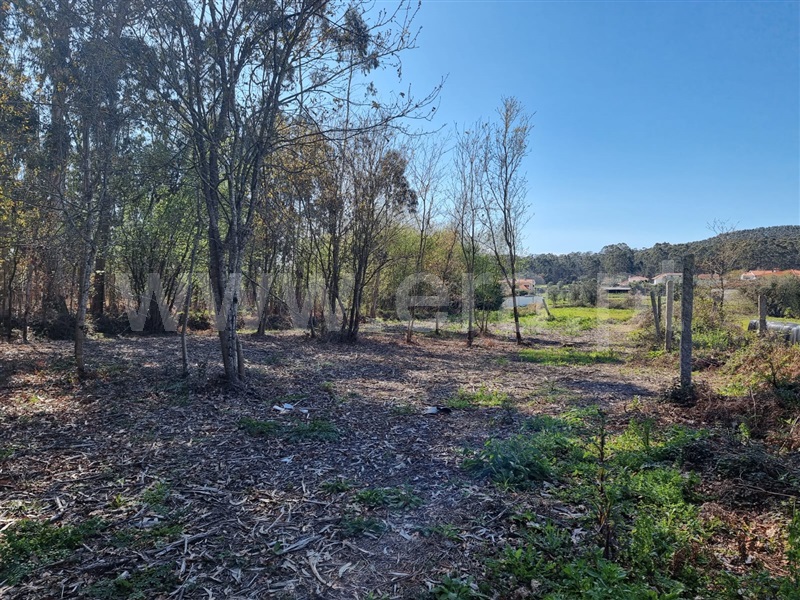 Terreno para Construção  Esposende, Vila Chã - 1472298 - 4