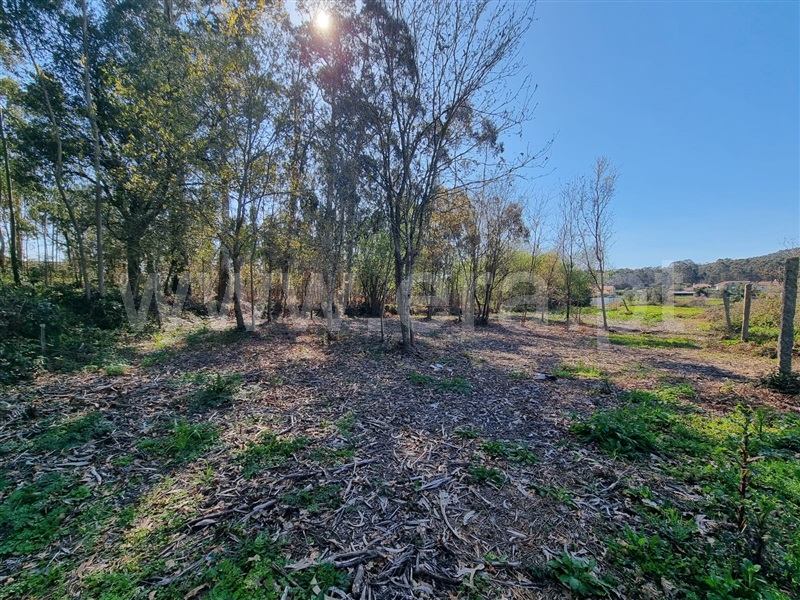 Terreno para Construção  Esposende, Vila Chã - 1472298 - 6
