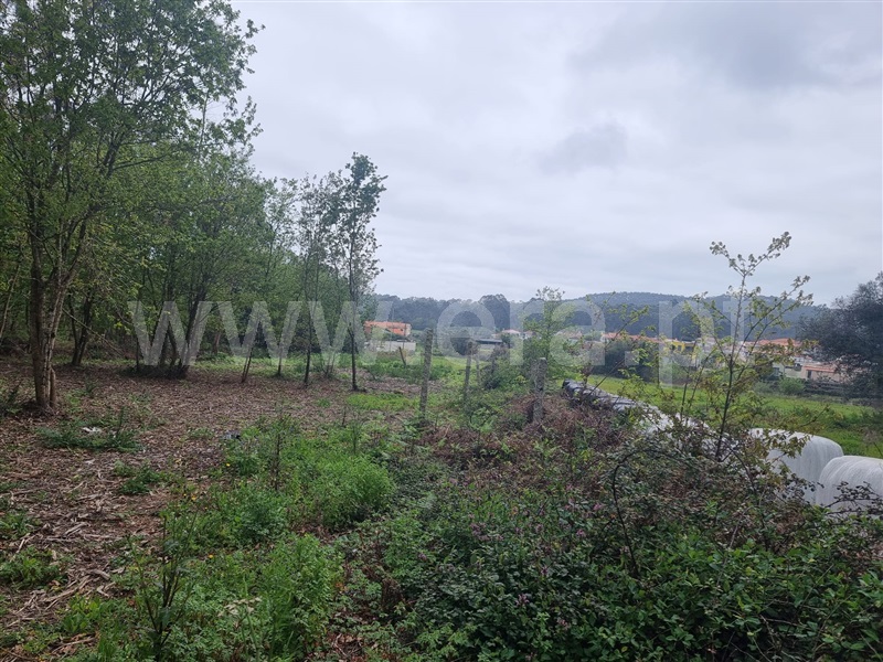 Terreno para Construção  Esposende, Vila Chã - 1472298 - 10