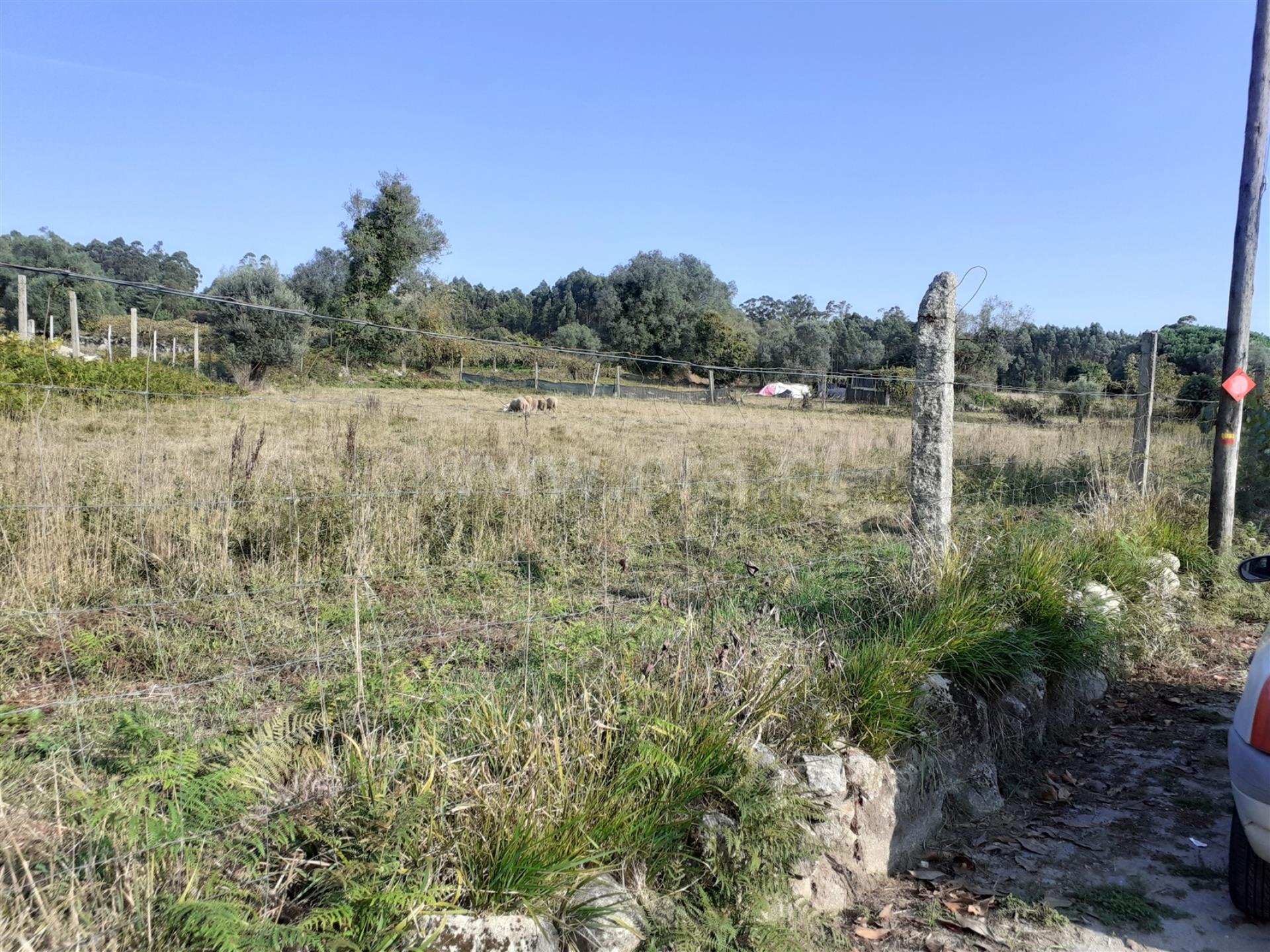 Land for sale in Esposende, Portugal — €98,000