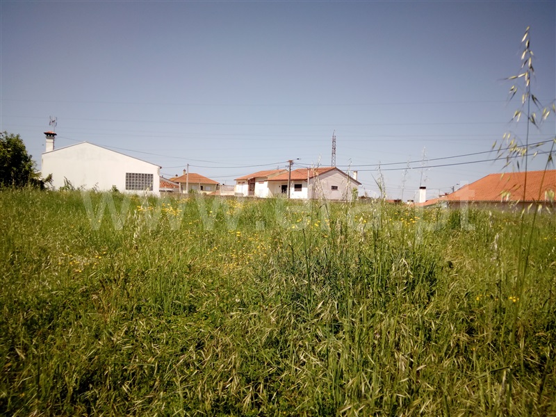 Terreno para Construção / Estarreja, Adou