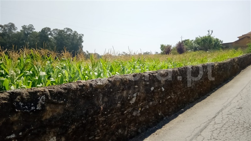 Terreno para Construção / Estarreja, Água Levada