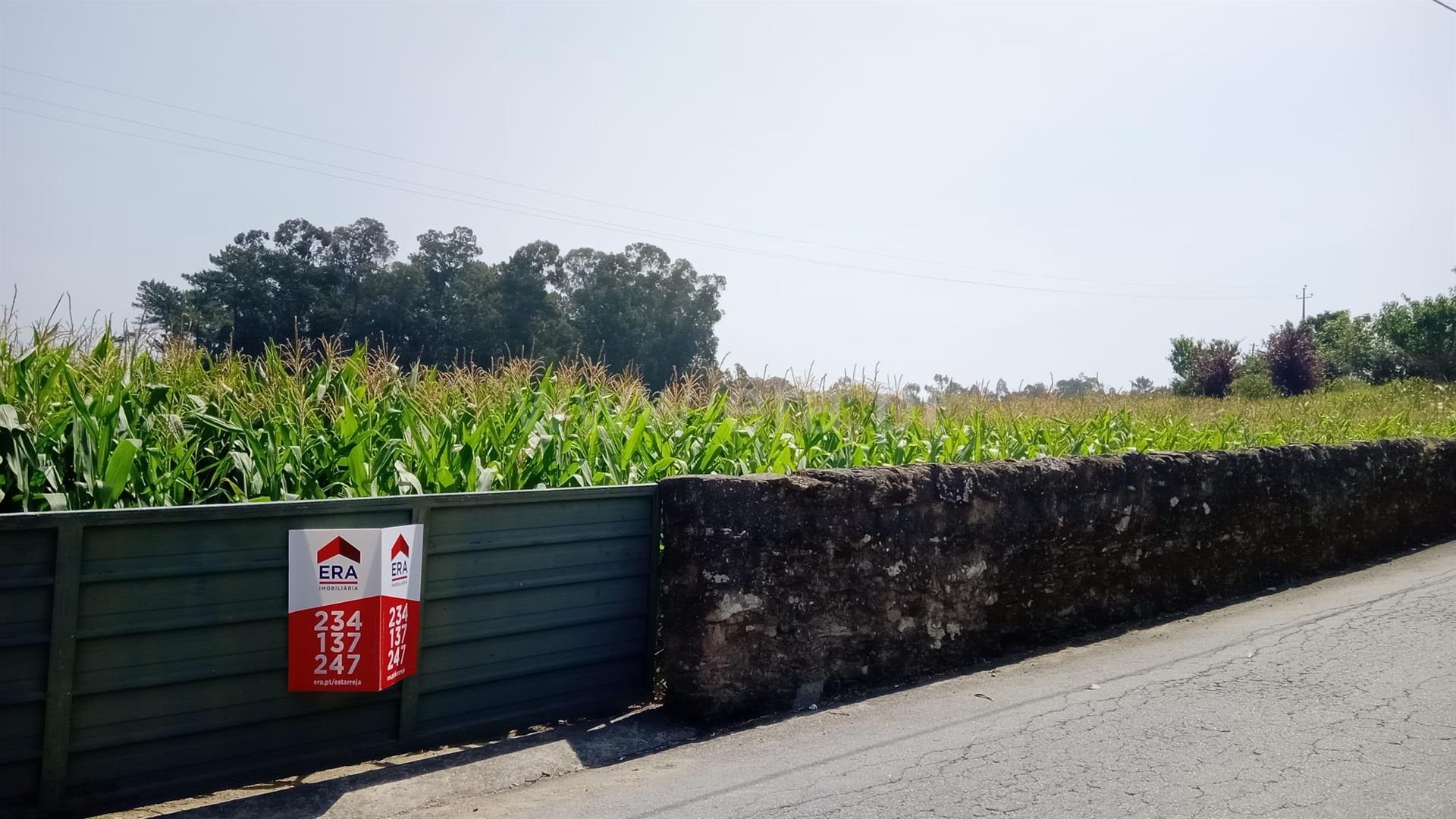 Land for sale in Estarreja, Portugal — €60,000