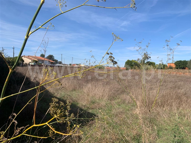 Terreno para Construção / Estarreja, Areia