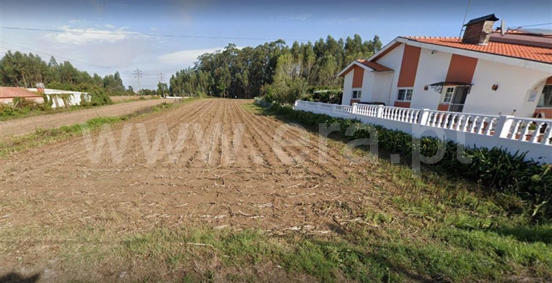 Terreno para Construção / Estarreja, Avanca
