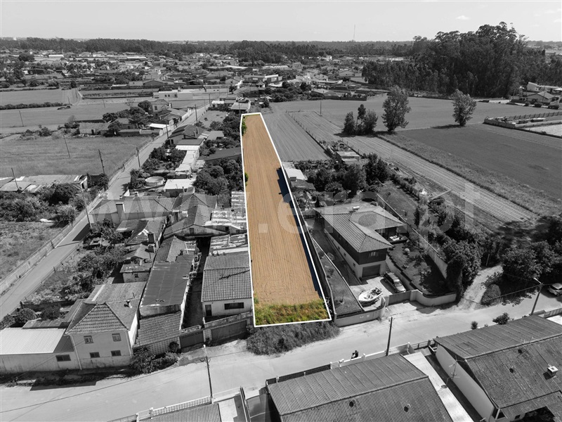 Terreno para Construção / Estarreja, Avanca