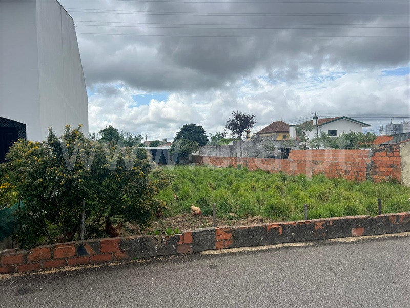 Terreno para Construção / Estarreja, Avanca
