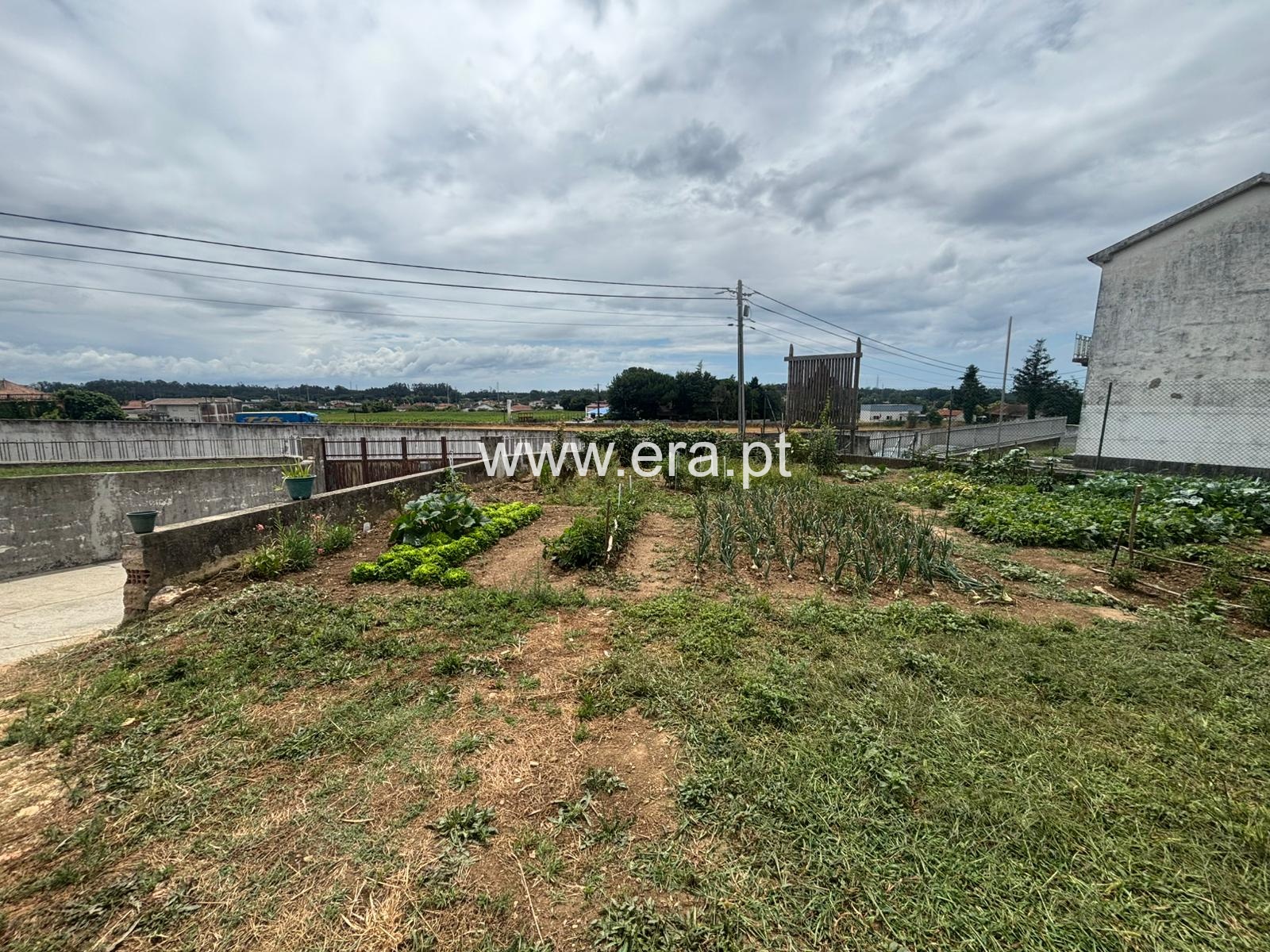 Terreno para Construção / Estarreja, Avanca