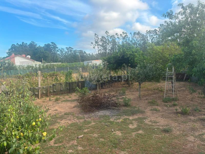 Terreno para Construção / Estarreja, Avanca