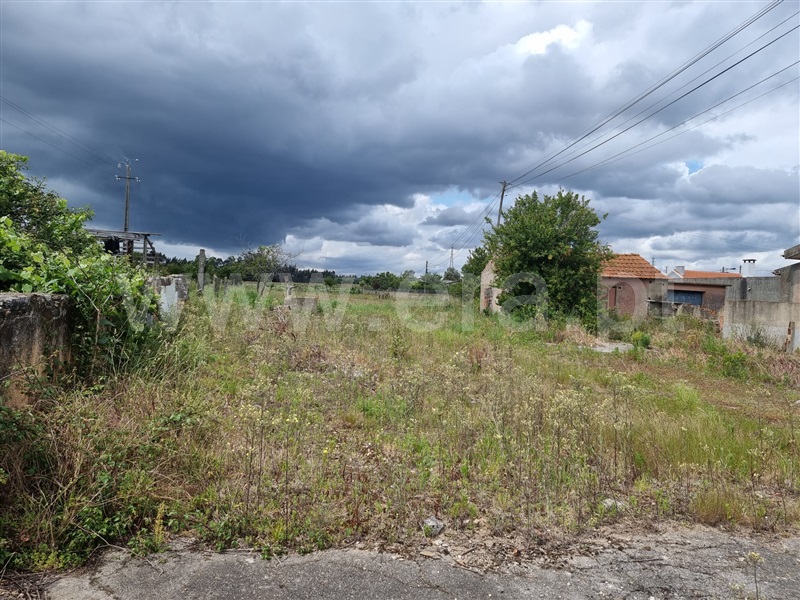 Terreno para Construção / Estarreja, Beduído e Veiros